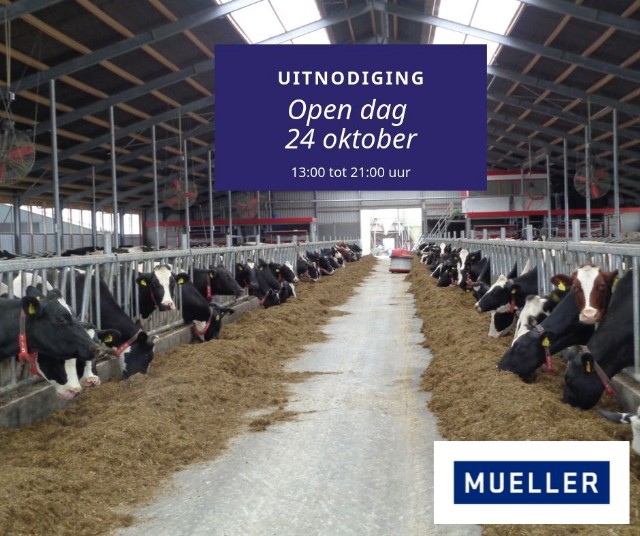 24 oktober open dag boerderij Kool